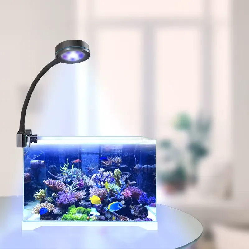 Aquasanrise Full Spectrum Cora - огляд і ціна Aquarium Blue Marine Reef