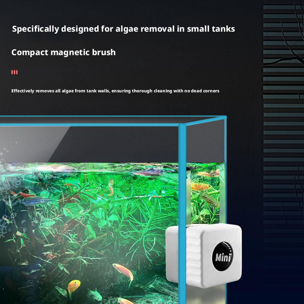 Magnetic Aquarium Glass Cleane - огляд і ціна Marine Aquarium Glass Scraper
