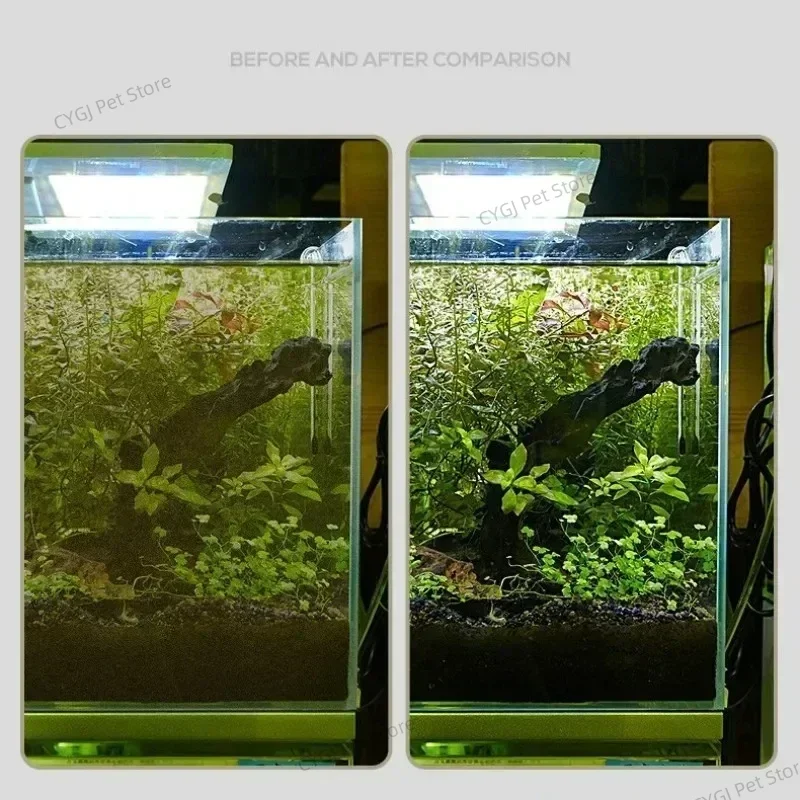 Fish Tank Cleaning Tool Flat S - огляд і ціна Marine Aquarium Glass Scraper