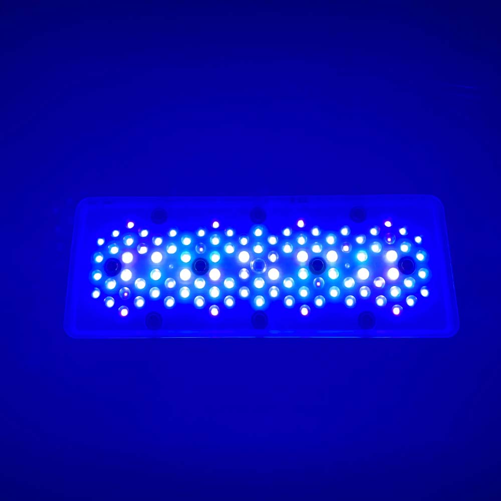 A8se A8PRO III BLUE 240W Marin - огляд і ціна Aquarium Blue Marine Reef