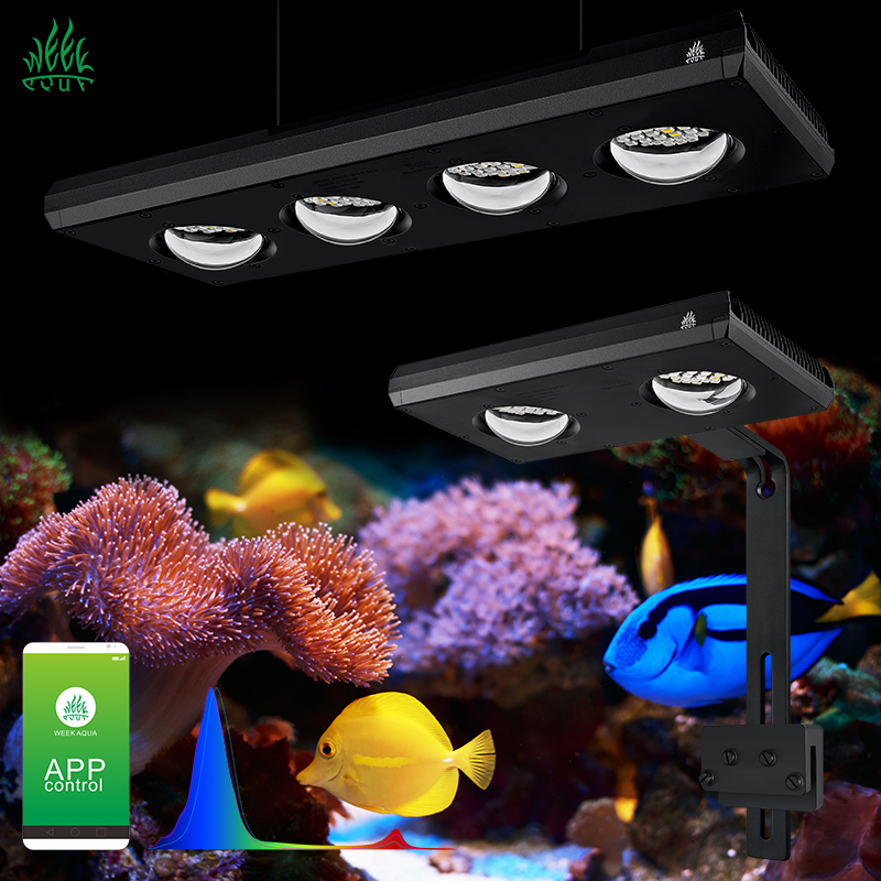 ZXY Hot Sale WEEKAQUA Z250 Z40 - огляд і ціна Aquarium Blue Marine Reef