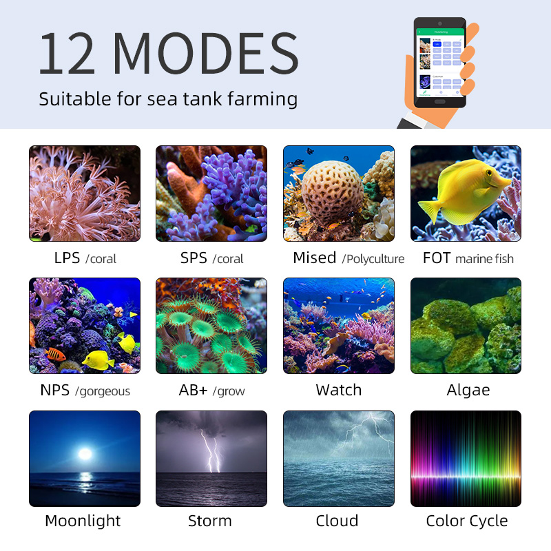 ZXY Hot Sale WEEKAQUA Z250 Z40 - огляд і ціна Aquarium Blue Marine Reef