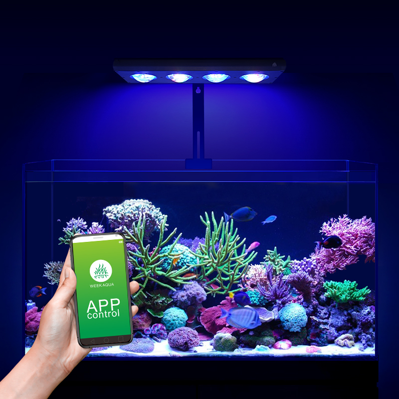 ZXY Hot Sale WEEKAQUA Z250 Z40 - огляд і ціна Aquarium Blue Marine Reef