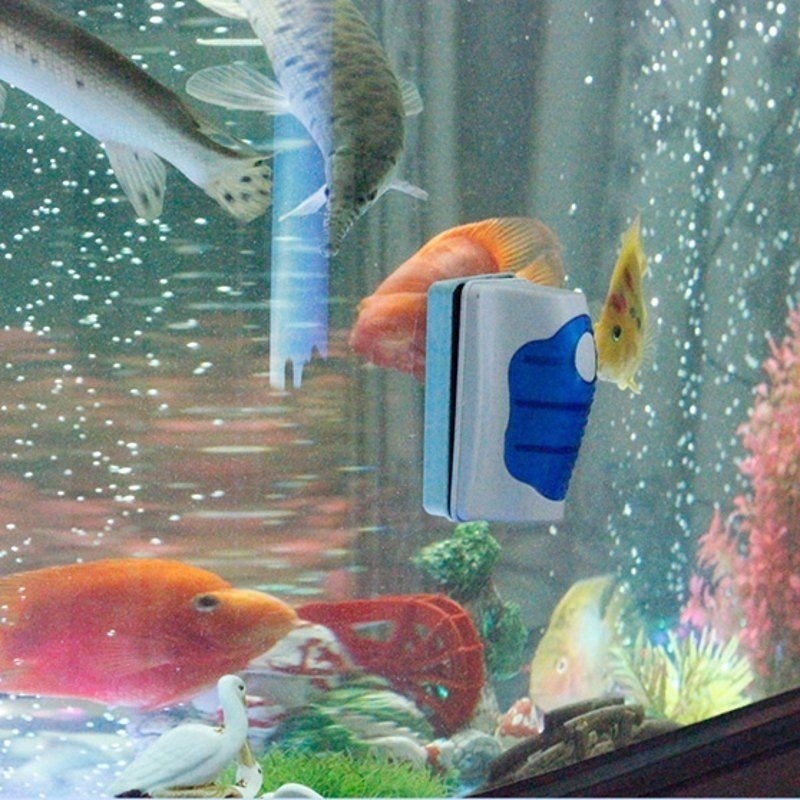 Fish Tank Glass Scraper Cleane - огляд і ціна Marine Aquarium Glass Scraper